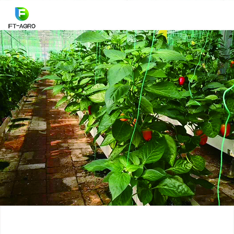 NFT agricultural farming equipment hydroponic greenhouse systems