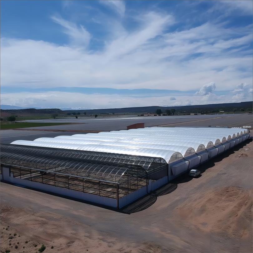 Tomato/strawberry Vertical Hydroponic Systems Multi-span Agricultural Greenhouse Film Plastic for Plants