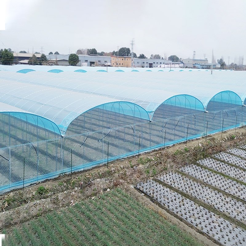 Multispan Temperature Control Cooling System Polytunnel Film Tunnel Tomato Greenhouse Agriculture Greenhouse For Vegetables