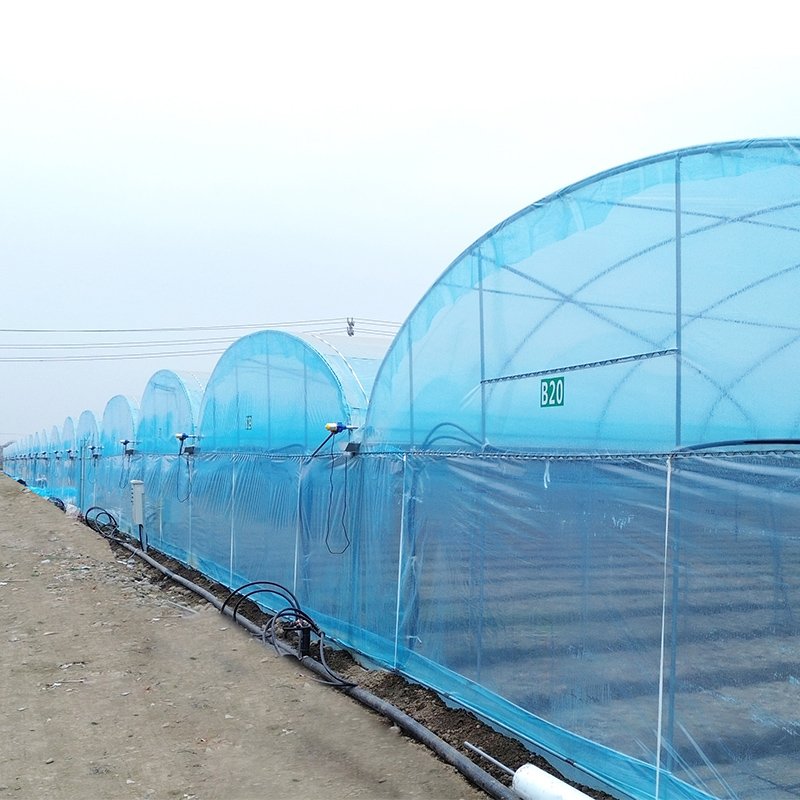 Multispan Temperature Control Cooling System Polytunnel Film Tunnel Tomato Greenhouse Agriculture Greenhouse For Vegetables
