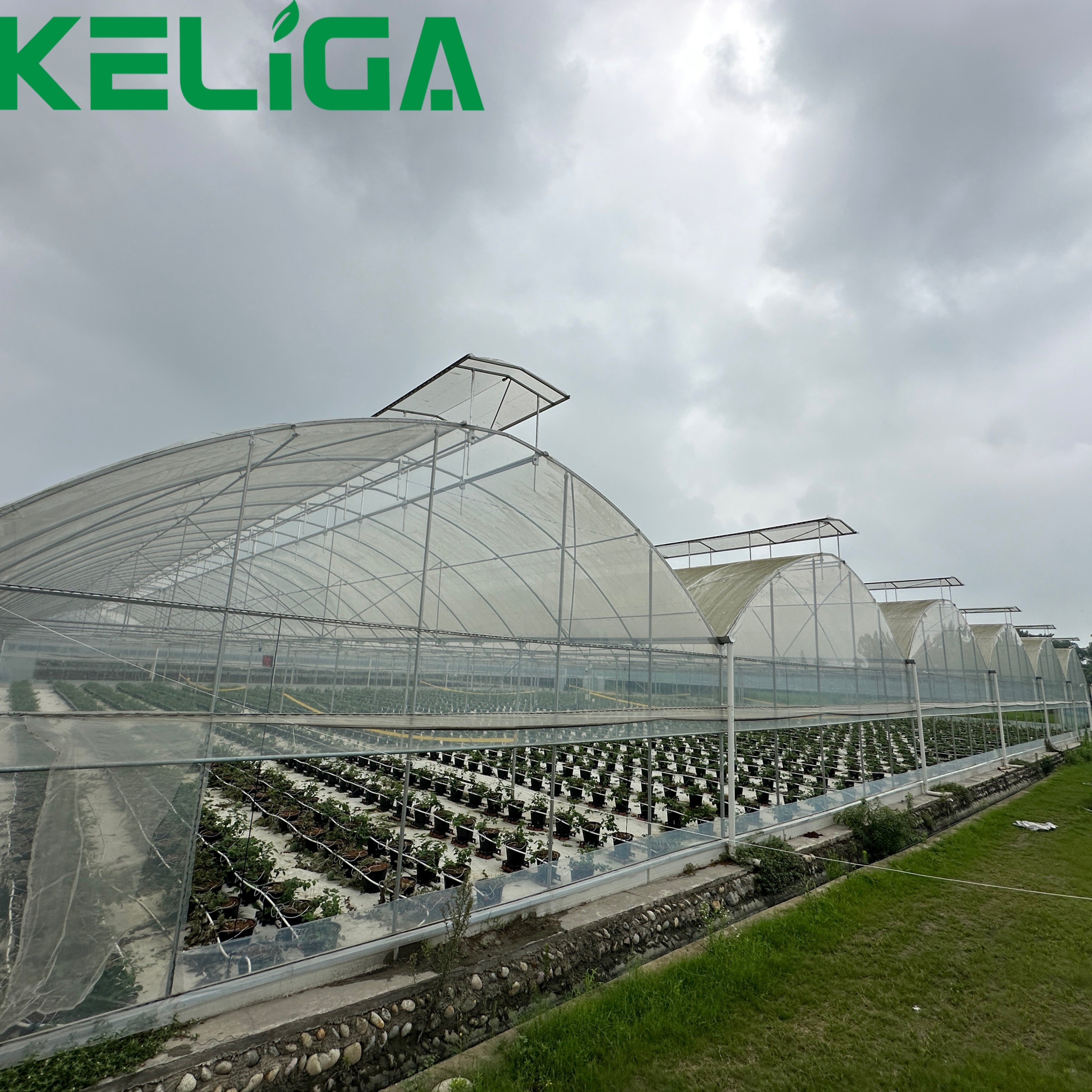 Heigh Tunnel Plastic Cover Agriculture Film Greenhouse UV Resistant Plastic Greenhouse