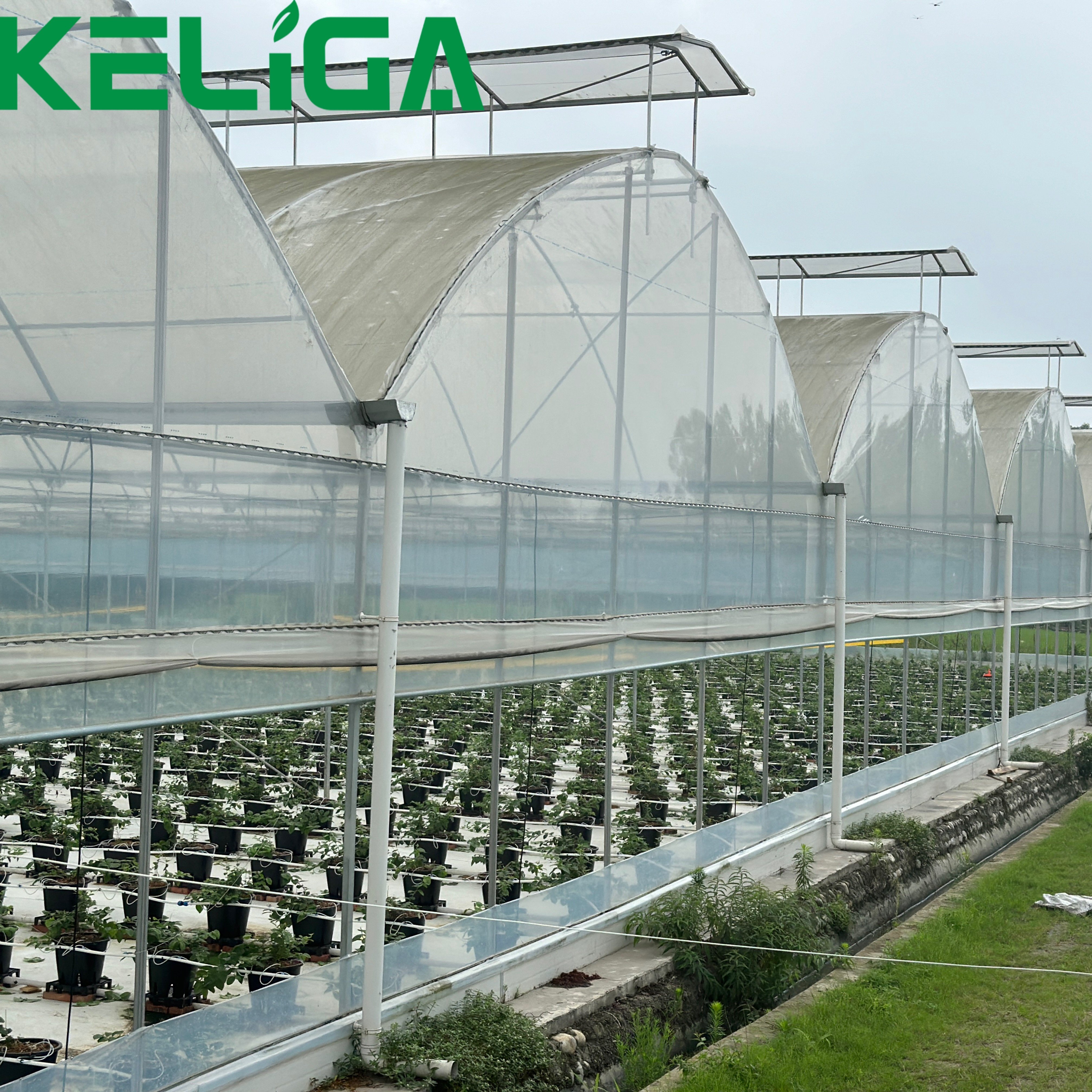 Heigh Tunnel Plastic Cover Agriculture Film Greenhouse UV Resistant Plastic Greenhouse