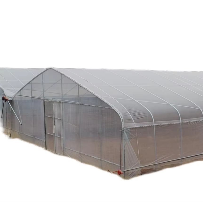 Best Selling Single Span Greenhouse Plastic Shed Tunnel Greenhouse Growing Hydroponic Tomatoes Hot Dipped Galvanized Steel Frame