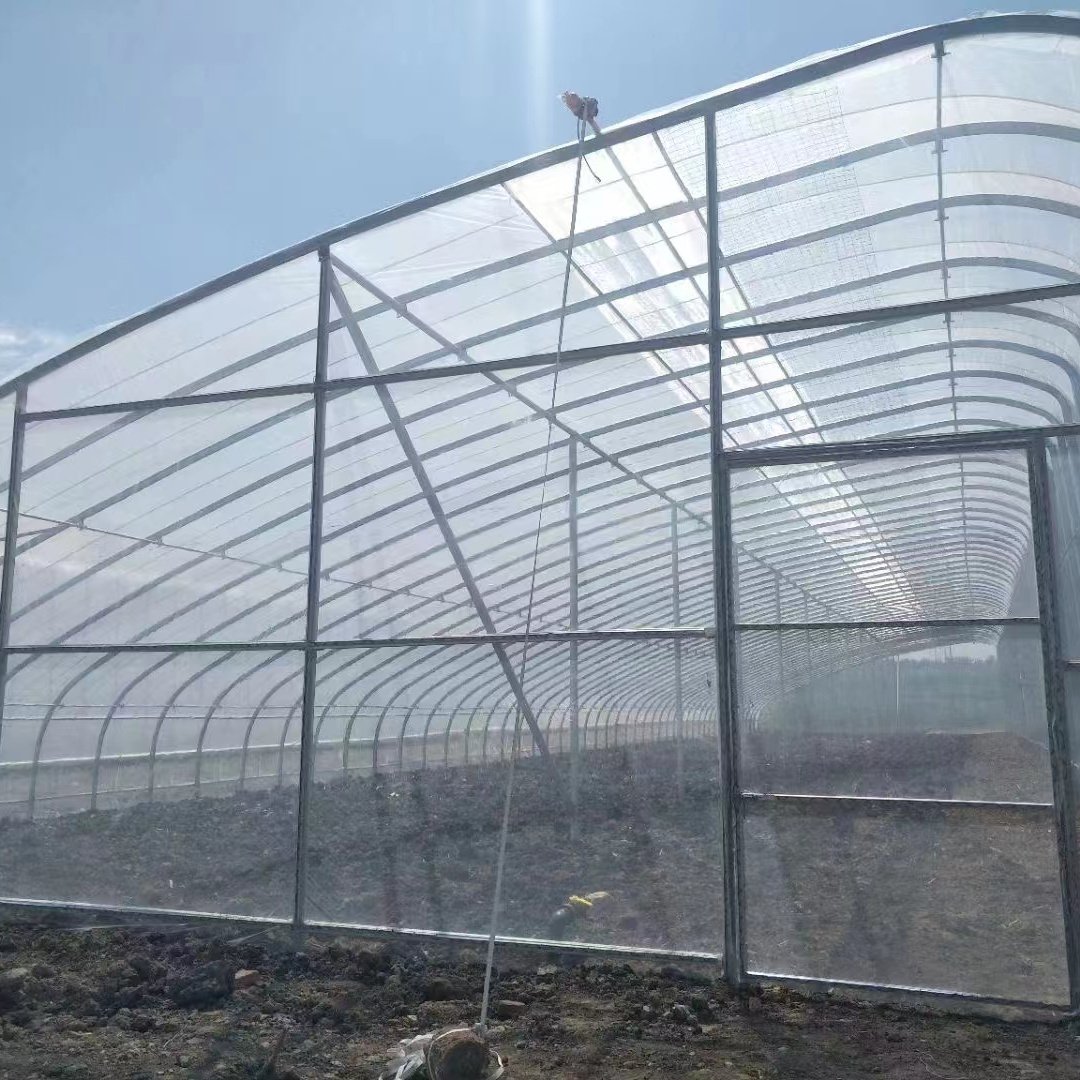 Passive solar greenhouse hot-dip galvanized pipe in-solar greenhouses for vegetables