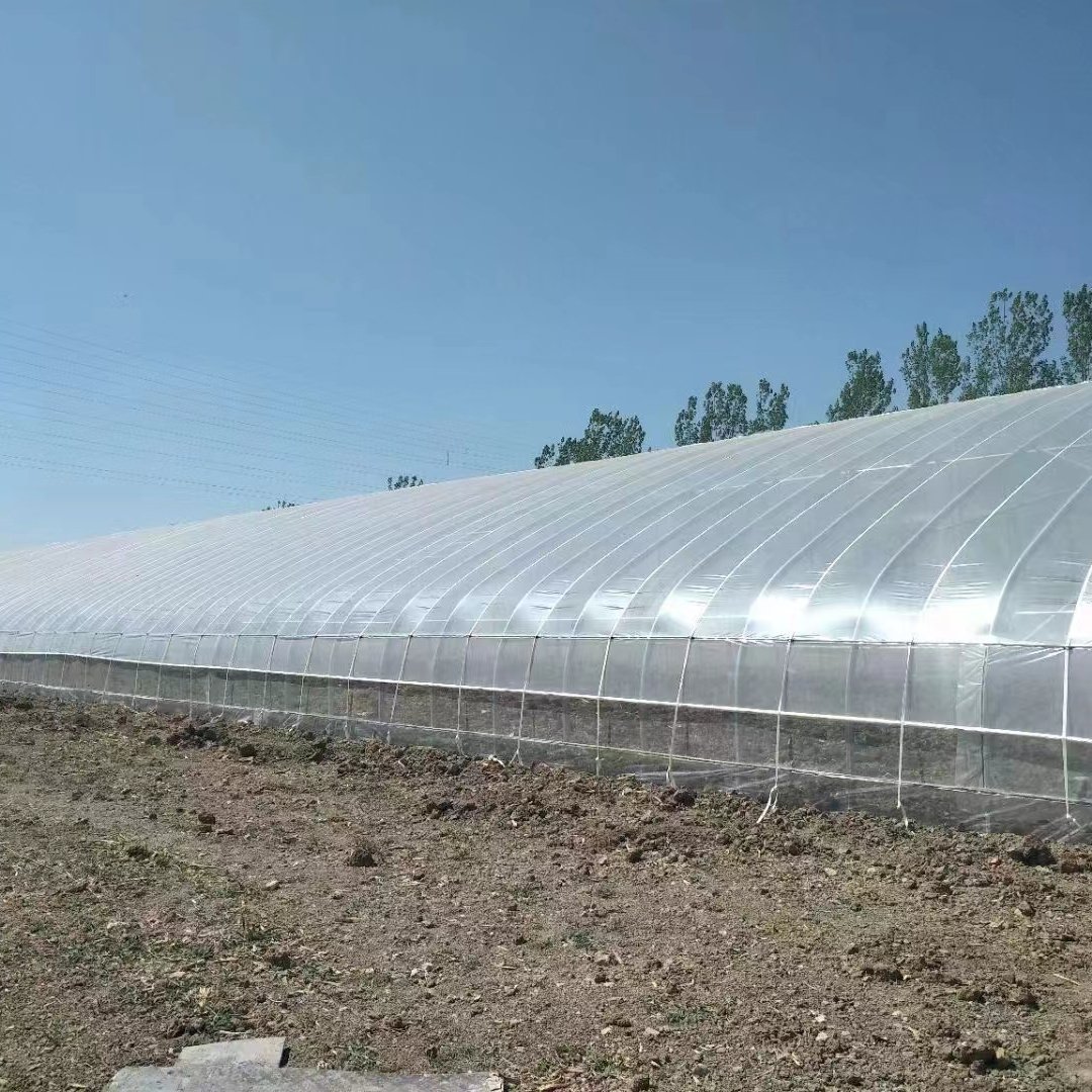 Passive solar greenhouse hot-dip galvanized pipe in-solar greenhouses for vegetables