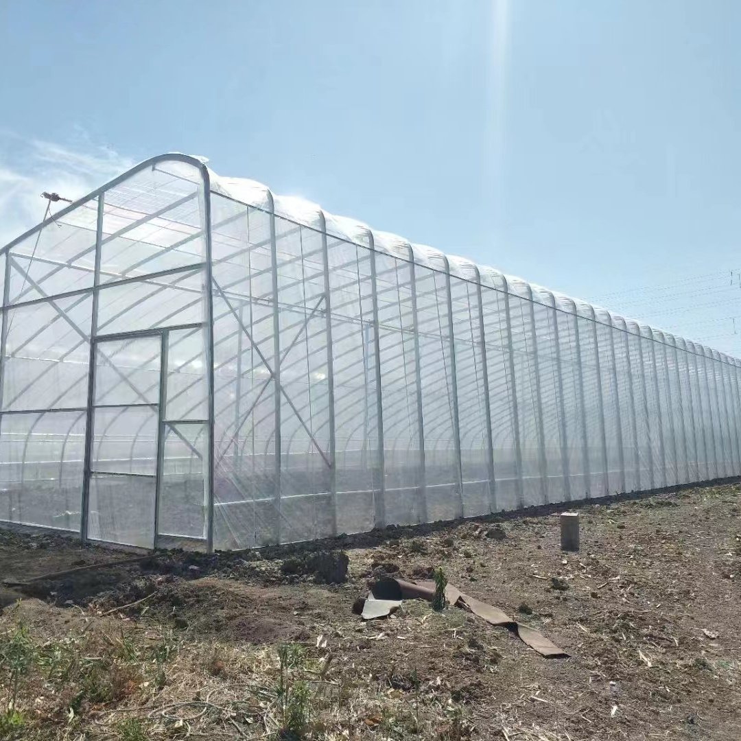 Passive solar greenhouse hot-dip galvanized pipe in-solar greenhouses for vegetables