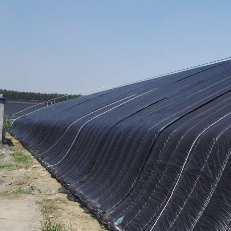 Passive solar greenhouse hot-dip galvanized pipe in-solar greenhouses for vegetables