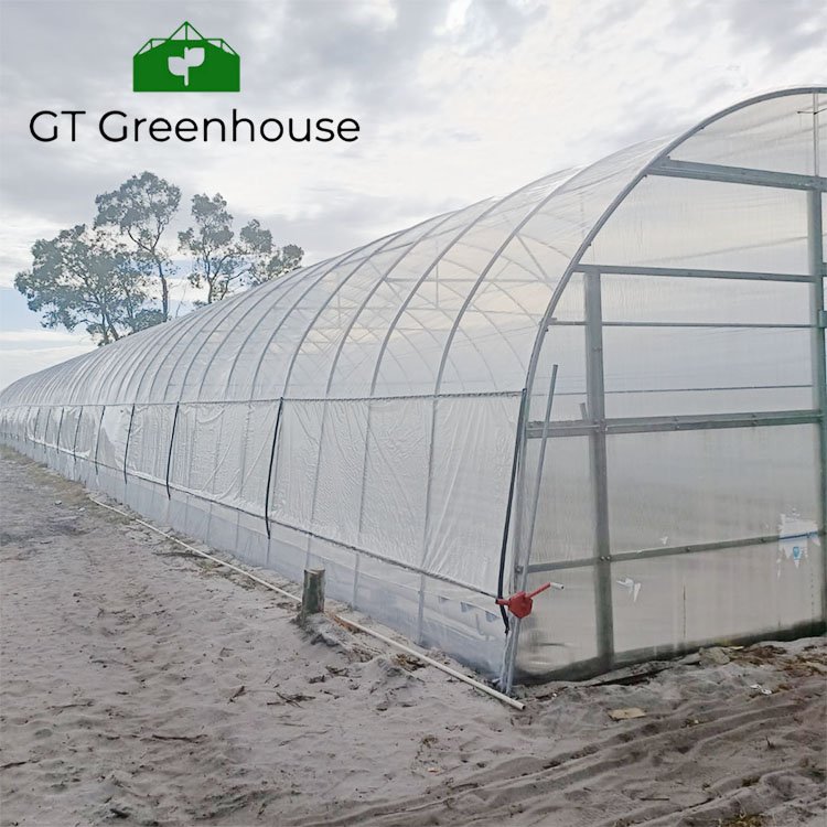 Good Quality And Easily Installed Agricultural/Commercial Green House Greenhouse