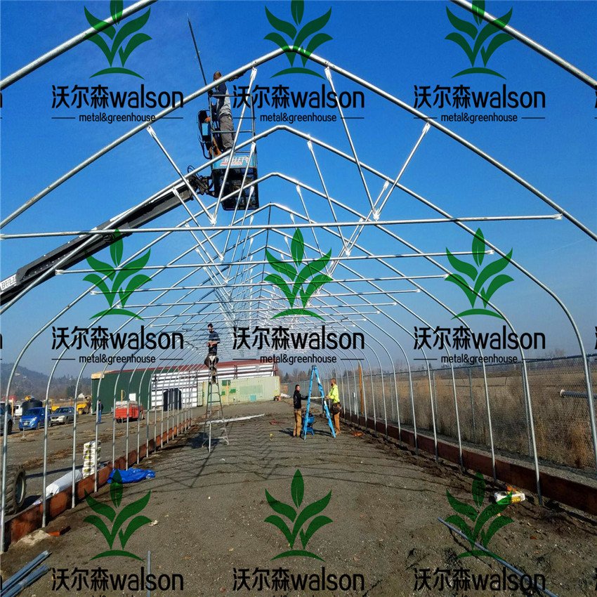 Wlalson Fully Automated Light Deprivation Greenhouse