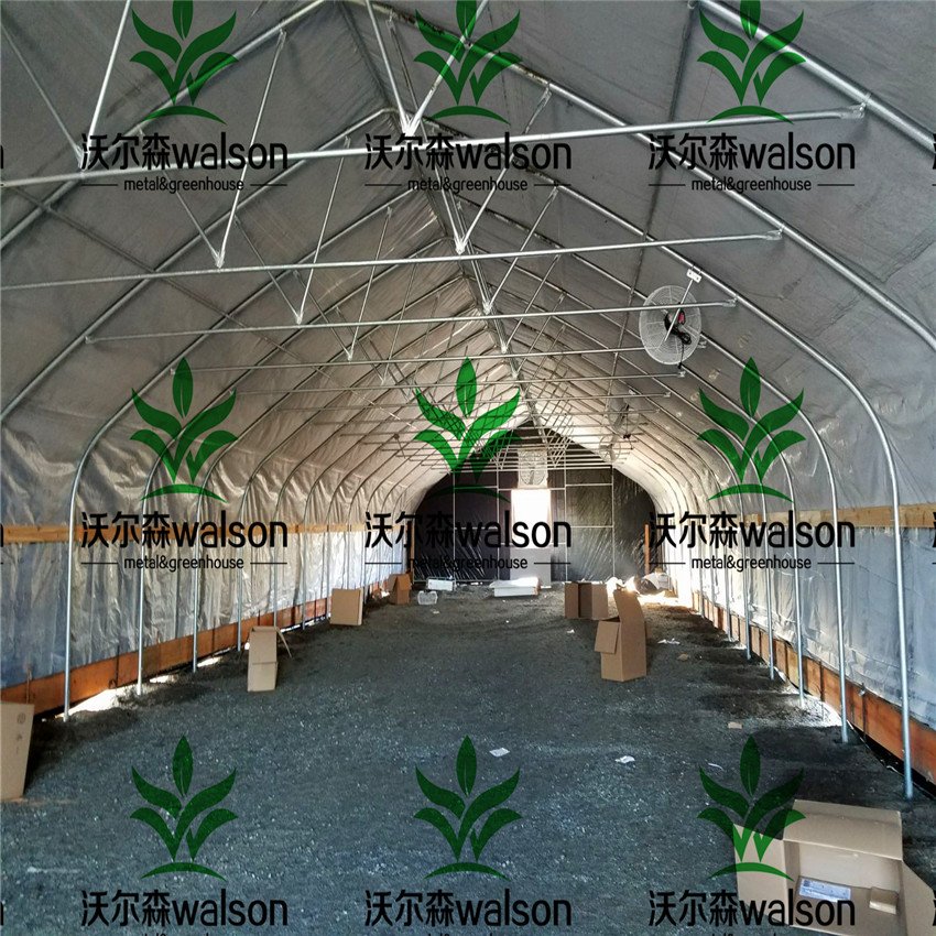 Wlalson Fully Automated Light Deprivation Greenhouse