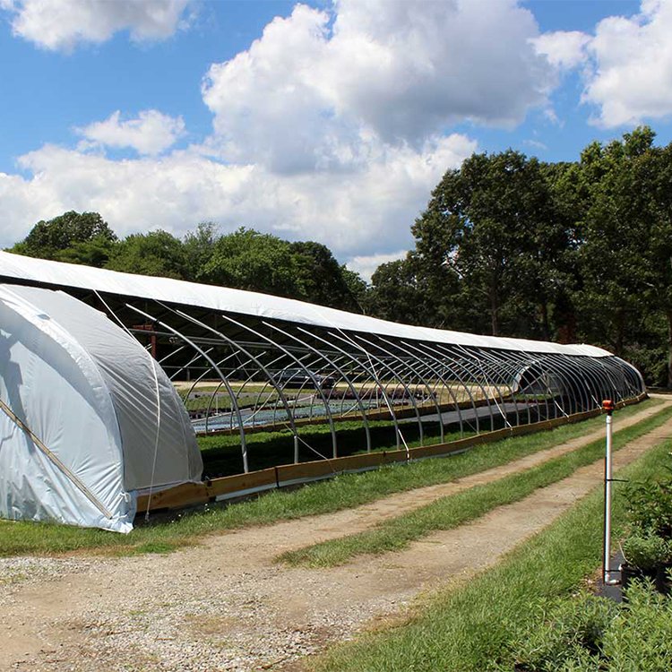MYXL Professional Factory commercial Auto Light deprivation Blackout Greenhouse