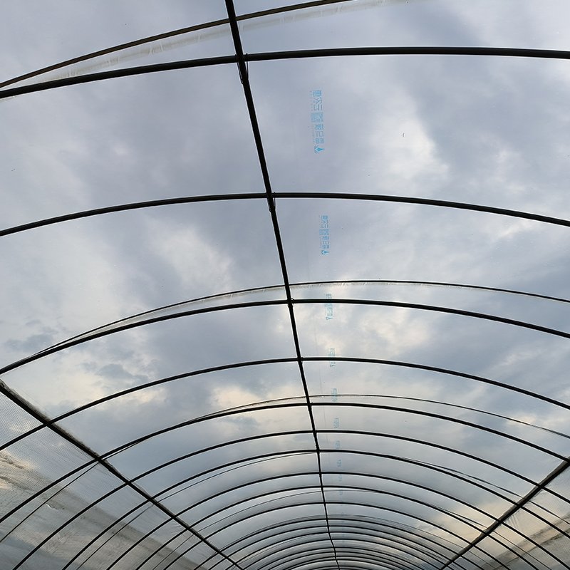 High quality long duration time Frame Plastic Film multi-span Greenhouse For Sale