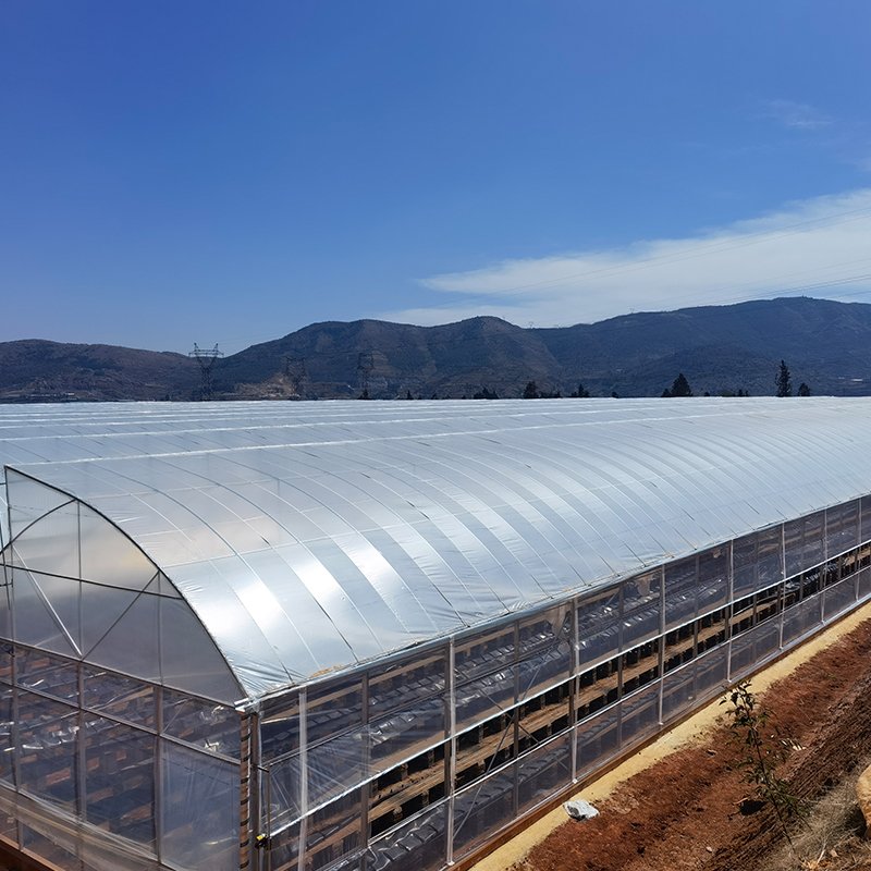 High quality long duration time Frame Plastic Film multi-span Greenhouse For Sale