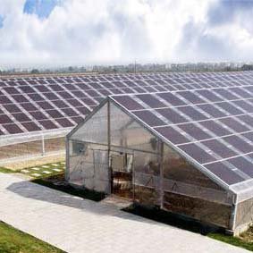 Agricultural Greenhouse Polytunnel Farming High Tunnel Intelligent Green House Film Large Grow Tent