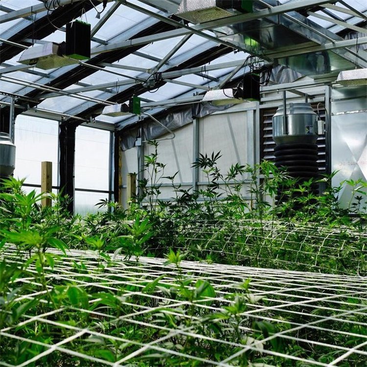 efecto invernadero verduisterende serre High Tunnel Hoop House Frame Light Deprivation Green House Blackout Greenhouse for Hemp