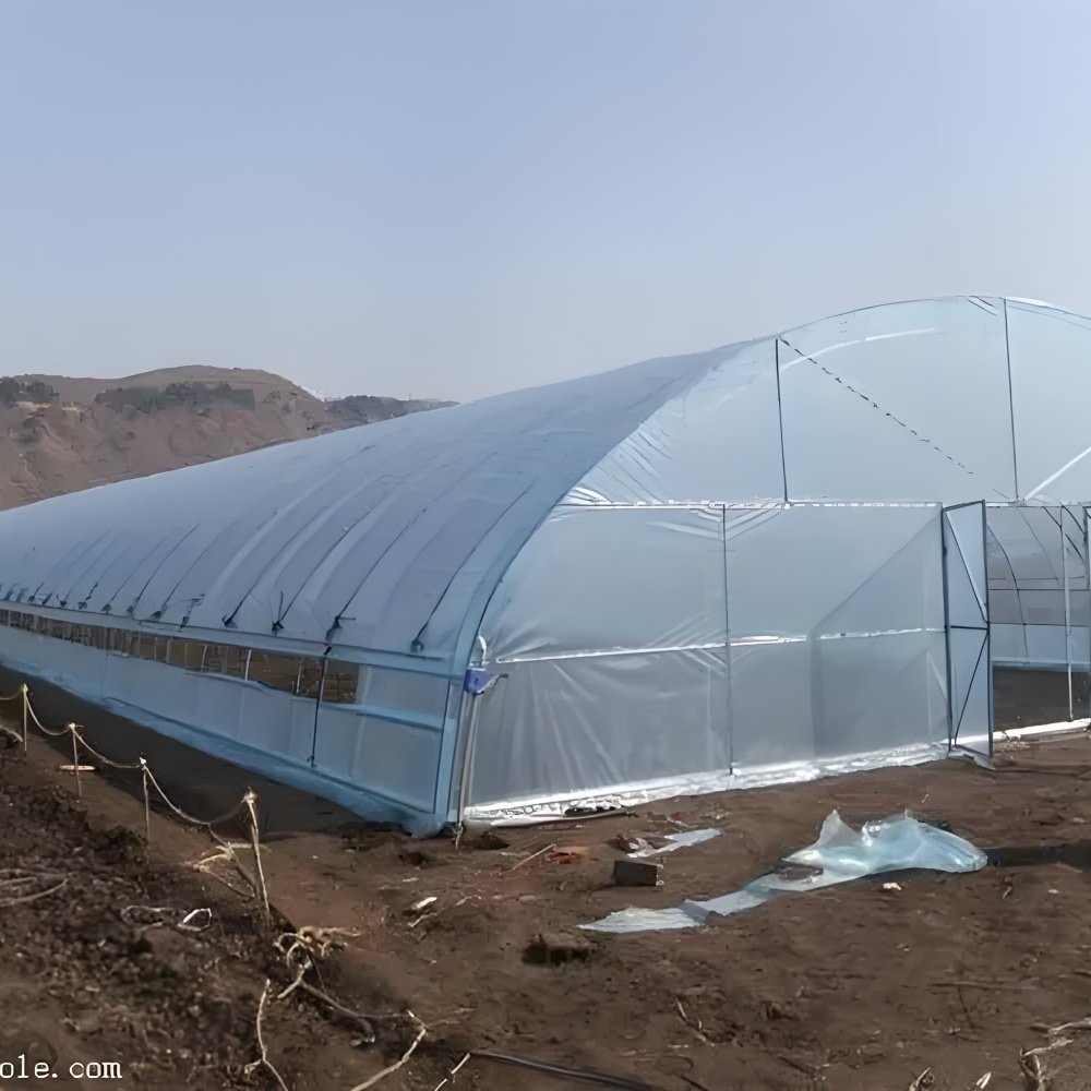 The Effect Is Remarkable Excellent Quality Agricultural Greenhouse Equipment System