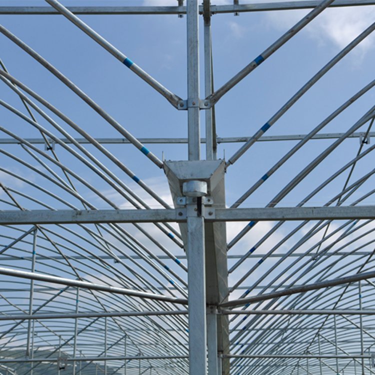 MYXL 200 micron film covering green house farming plastic metal frame agriculture commercial green house