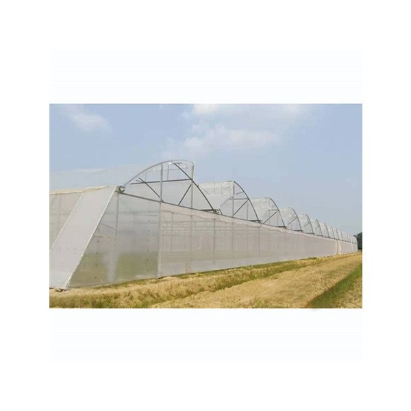 Sawtooth Plastic Film Cover Serrated Multi-Span Agricultural Greenhouse for Tomato/Leafy Vegetable