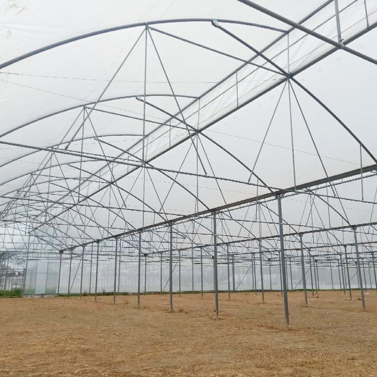 Sawtooth Plastic Film Cover Serrated Multi-Span Agricultural Greenhouse for Tomato/Leafy Vegetable