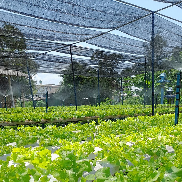 malla raschel 35% agriculture greenhouse shade cloth installation agricultural shade net for strawberry