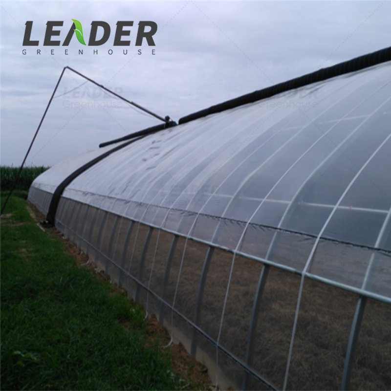 agricultural greenhouse covering anti UV clear reflective 100/150/200 micron plastic transparent film