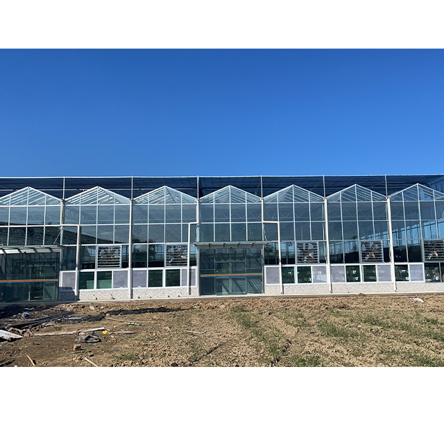 Commercial Wind Resistant Agricultural Multi-span Venlo Glass Greenhouse Drying House For Tomato