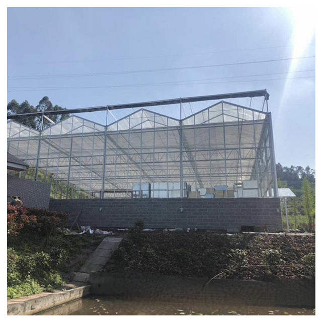 Commercial Wind Resistant Agricultural Multi-span Venlo Glass Greenhouse Drying House For Tomato