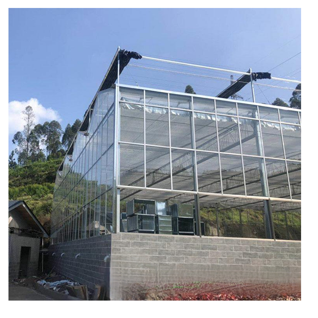 Commercial Wind Resistant Agricultural Multi-span Venlo Glass Greenhouse Drying House For Tomato