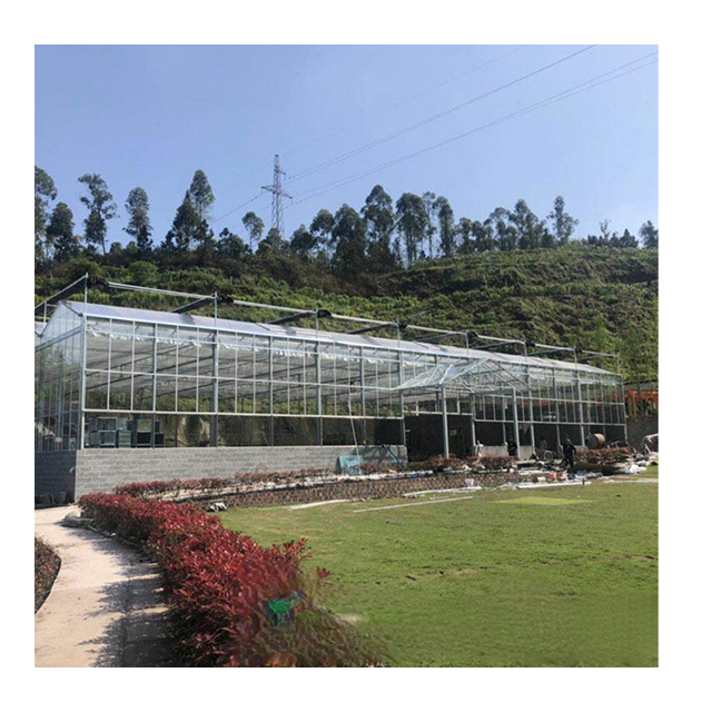 Commercial Wind Resistant Agricultural Multi-span Venlo Glass Greenhouse Drying House For Tomato