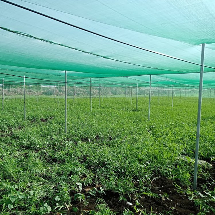 Wholesale High Quality 100% New Hdpe Agricultural Greenhouse Shade Net Roll