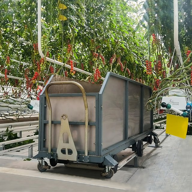 Greenhouse equipment leaves collection trolley for removal and collection of senescent leaves hand cart box