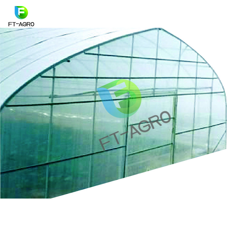 Modern agricultural technology large multi-span Po film agricultural greenhouses