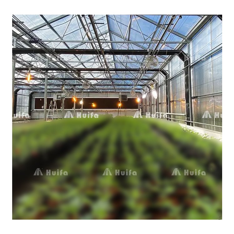 Commercial Light Dep Greenhouse Full Spectrum Led Plant Grow Lights Greenhouse For Plants