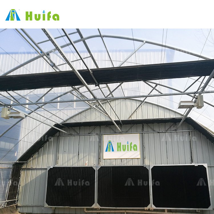 Commercial Light Dep Greenhouse Full Spectrum Led Plant Grow Lights Greenhouse For Plants