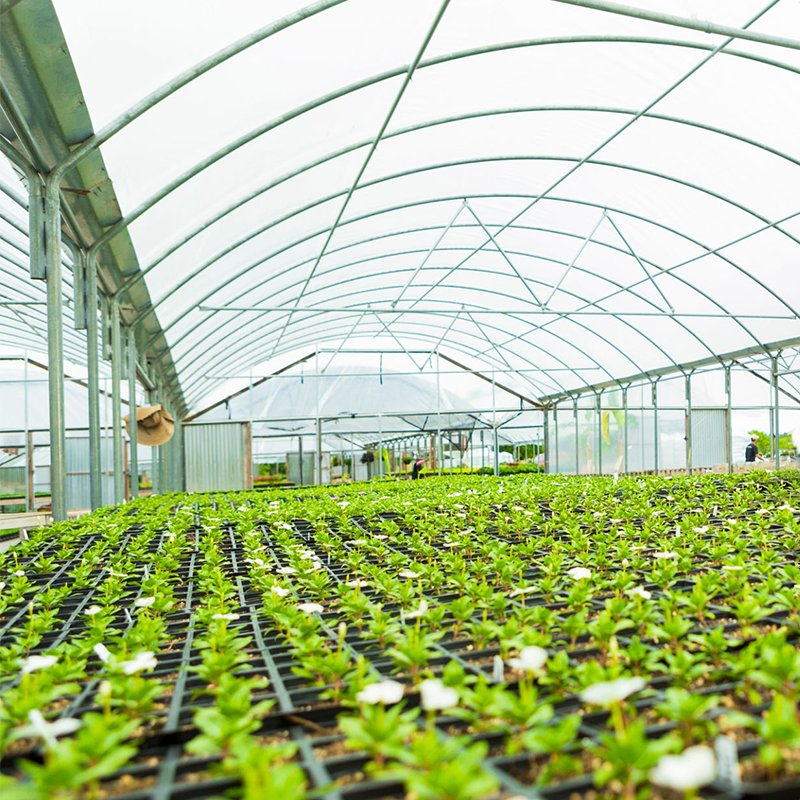 200 micron agricultural greenhouse covering greenhouse plastic film uv resistant