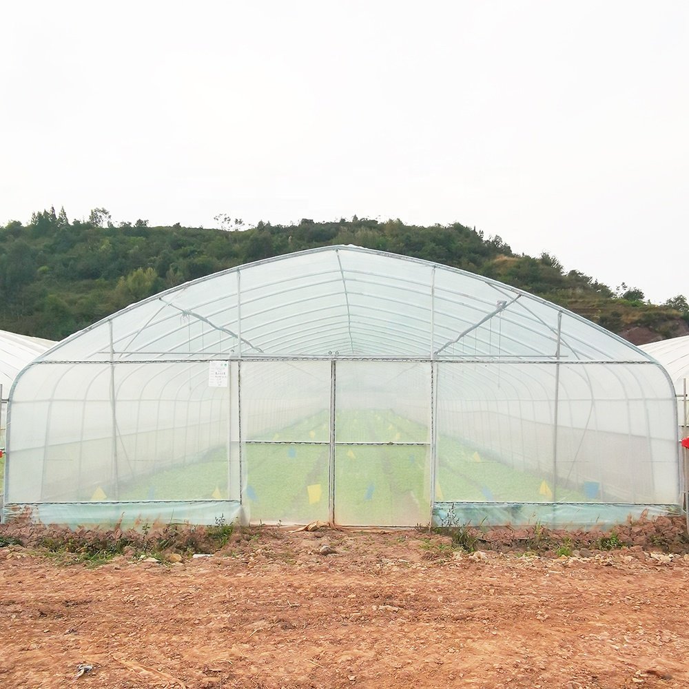 Baolida Hoop Tunnel House Productive Single Span Green House Agriculture Greenhouse For Sale with Irrigation System