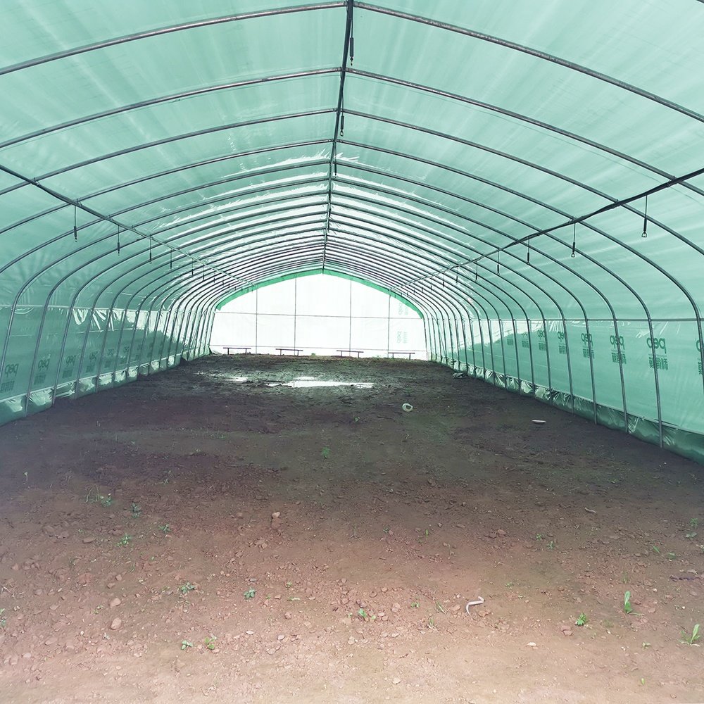 Baolida Hoop Tunnel House Productive Single Span Green House Agriculture Greenhouse For Sale with Irrigation System