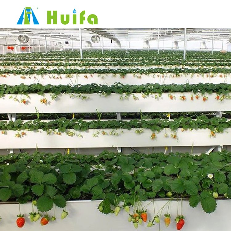Smart Vertical Farming Shipping Container Grow Room Full Auto Greenhouses Strawberries Plants Hydroponic Growing Systems Film