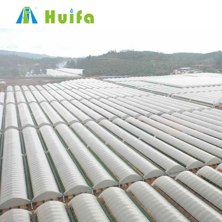 Smart Vertical Farming Shipping Container Grow Room Full Auto Greenhouses Strawberries Plants Hydroponic Growing Systems Film