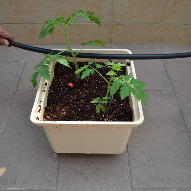 Agriculture Dutch Bucket of PP Hydroponics Greenhouse Tomato dutch bato bucket