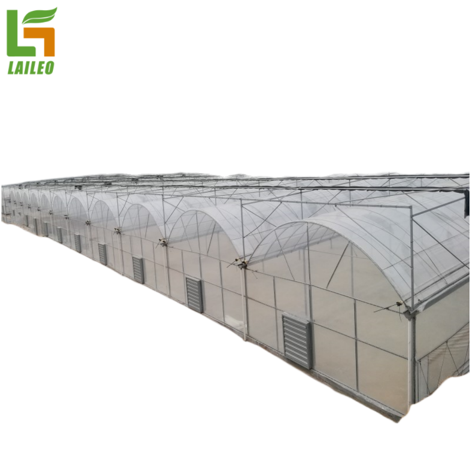 Large Commercial Green Houses Agriculture Greenhouse