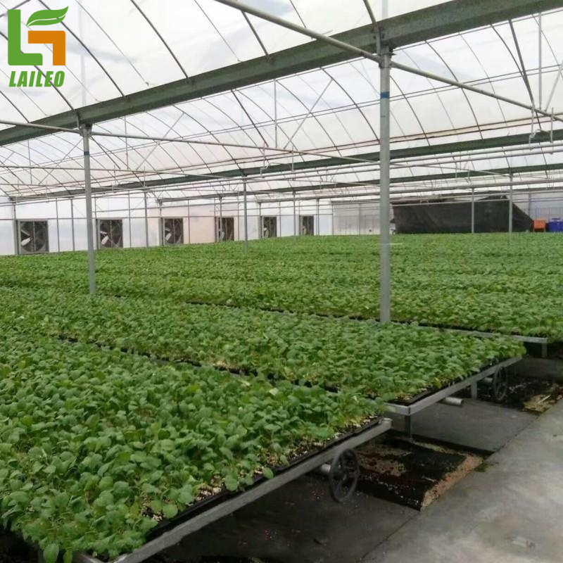 Large Commercial Green Houses Agriculture Greenhouse