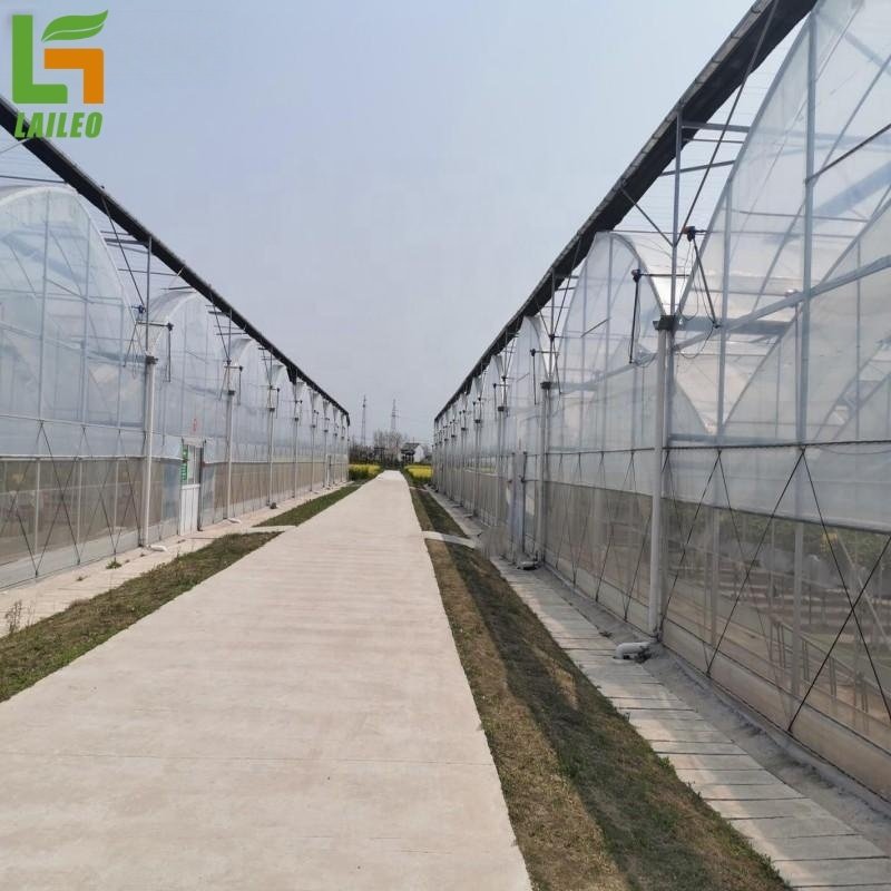 Large Commercial Green Houses Agriculture Greenhouse