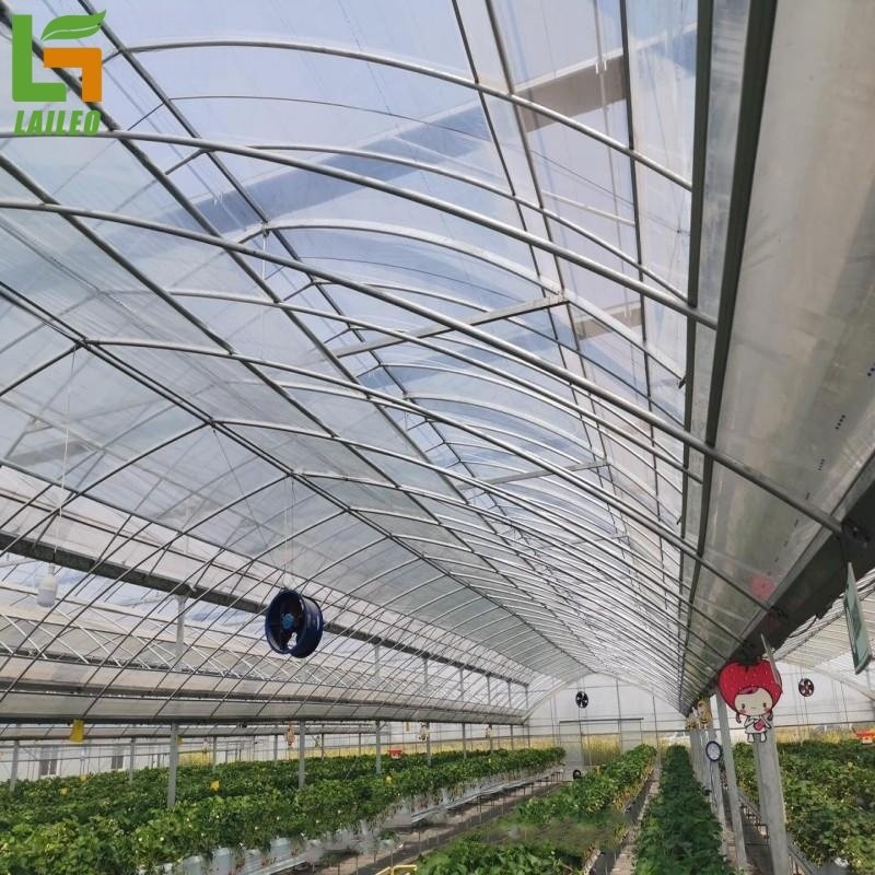 Large Commercial Green Houses Agriculture Greenhouse