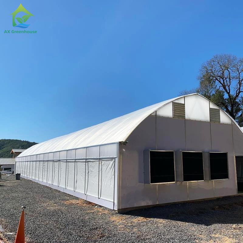 Agricultural Tunnel Fully Automated Light Deprivation Greenhouse Single-span Blackout Greenhouse