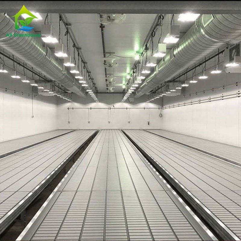 Agricultural Tunnel Fully Automated Light Deprivation Greenhouse Single-span Blackout Greenhouse