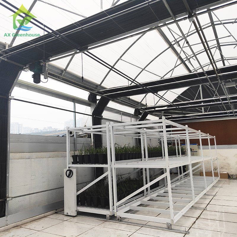 Agricultural Tunnel Fully Automated Light Deprivation Greenhouse Single-span Blackout Greenhouse