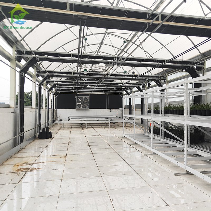 Agricultural Tunnel Fully Automated Light Deprivation Greenhouse Single-span Blackout Greenhouse
