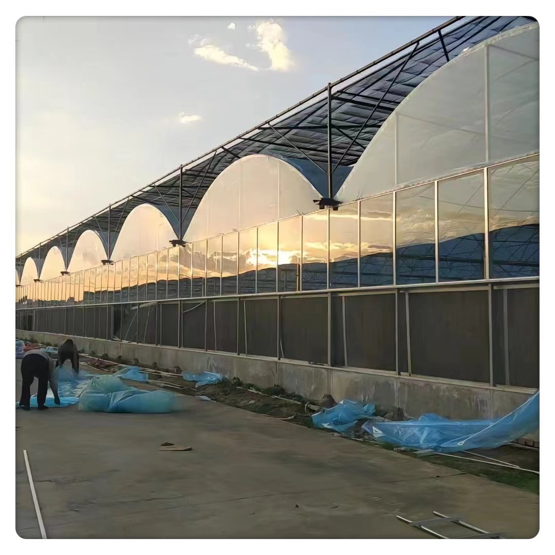 Tunnel Style Low-Cost Flower Greenhouse Agriculture Square Pattern Film Steel Green Color Large Multi-Span Plastic Greenhouse