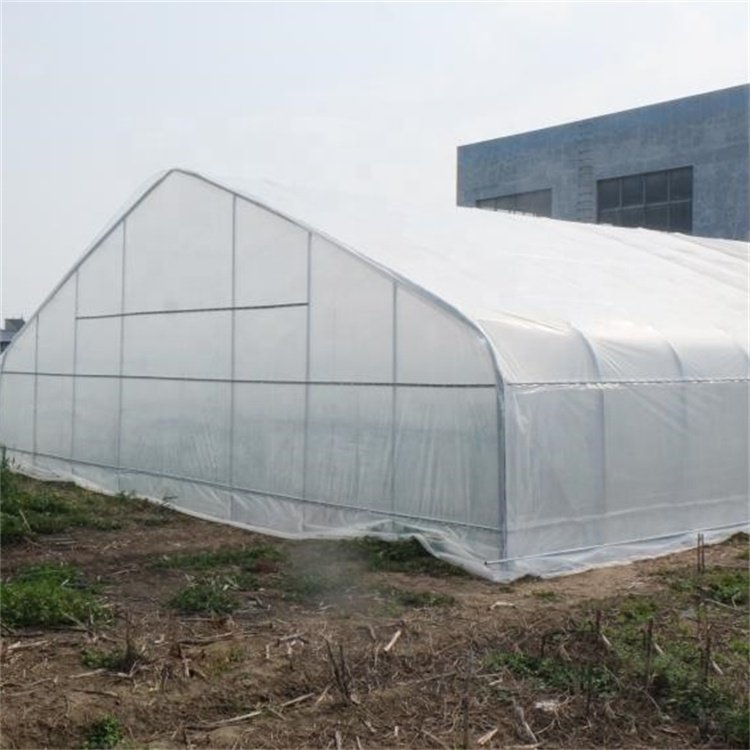 Agricultural single-span plastic invernaderos greenhouses for tomatoes agricultural serra agricola